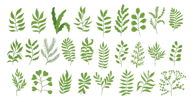 Vintage Set of Green Tropic Plant, Foliage Collection with colorful floral Botanical bundle Elements. Nature of plants garden. Hand drawn Flat Style, suitable for wedding invitation or banner vector
