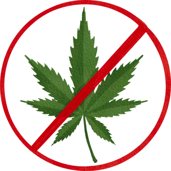 Cannabis or Marijuana Leaf png