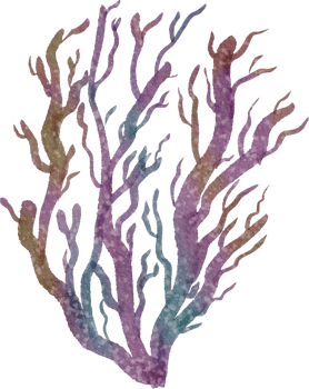 Ocean watercolor coral png