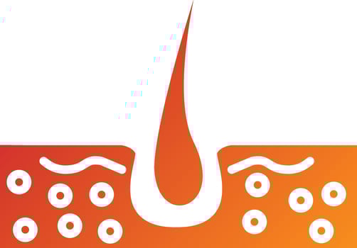 Skin Hair Icon Style vector