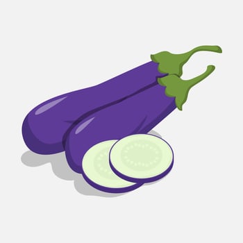 eggplant vector illustration