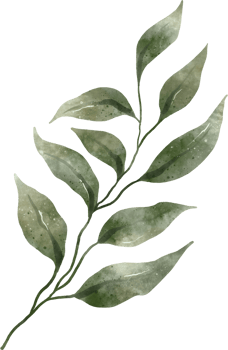 Greenery Leaf Watercolor png