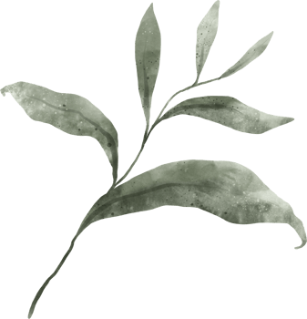 Greenery Leaf Watercolor png