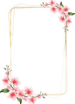 Pink Flowers Watercolor with geometric gold frame png