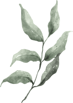 Greenery Leaf Watercolor png