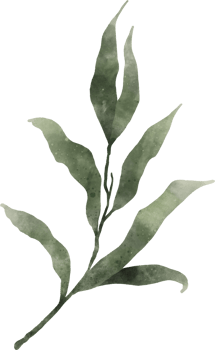 Greenery Leaf Watercolor png