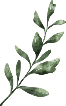 Greenery Leaf Watercolor png