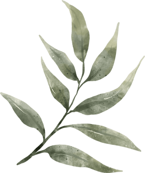 Greenery Leaf Watercolor png