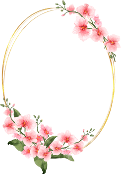 Pink Flowers Watercolor with geometric gold frame png