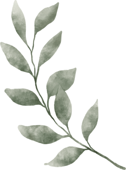 Greenery Leaf Watercolor png