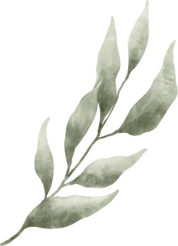 Greenery Leaf Watercolor png