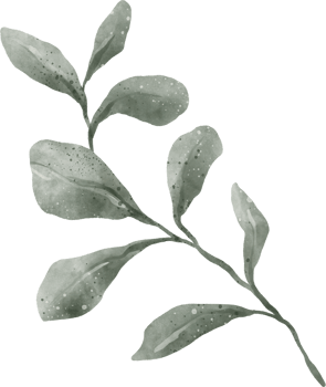 Greenery Leaf Watercolor png