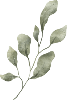 Greenery Leaf Watercolor png