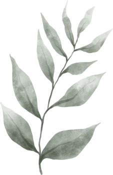 Greenery Leaf Watercolor png