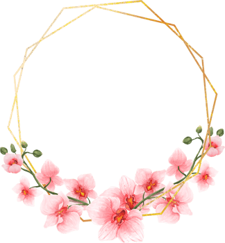 Pink Flowers Watercolor with geometric gold frame png