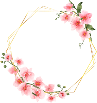 Pink Flowers Watercolor with geometric gold frame png