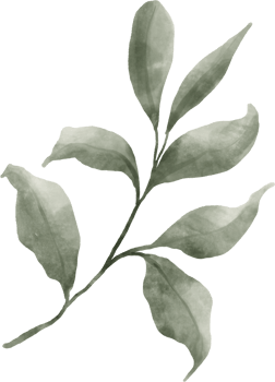 Greenery Leaf Watercolor png