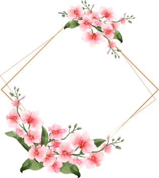 Pink Flowers Watercolor with geometric gold frame png