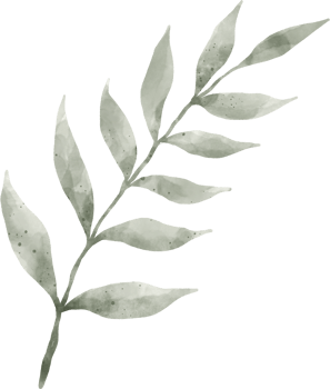 Greenery Leaf Watercolor png