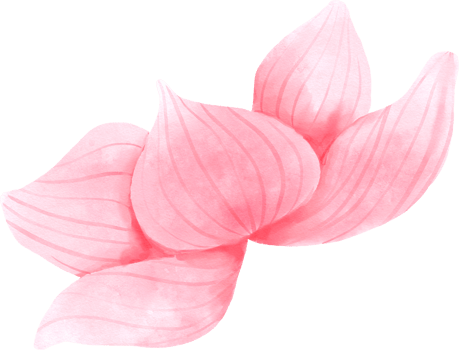 Pink Orchid Flower Watercolor png