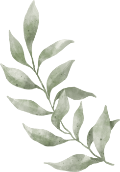 Greenery Leaf Watercolor png