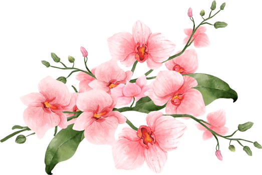 Pink Orchid Flower Bouquet Watercolor png