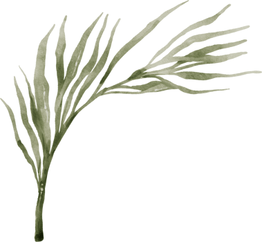 Greenery Leaf Watercolor png