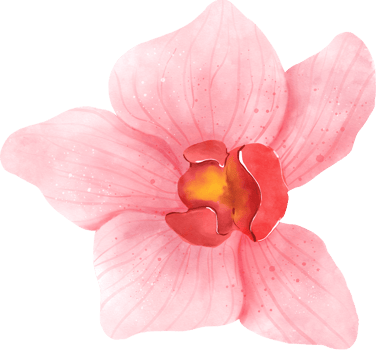 Pink Orchid Flower Watercolor png