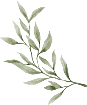 Greenery Leaf Watercolor png