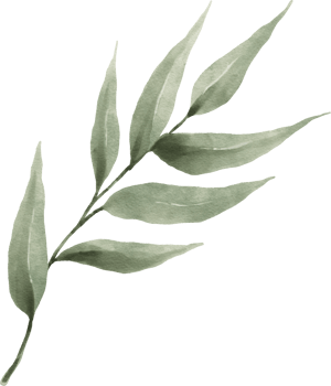 Greenery Leaf Watercolor png