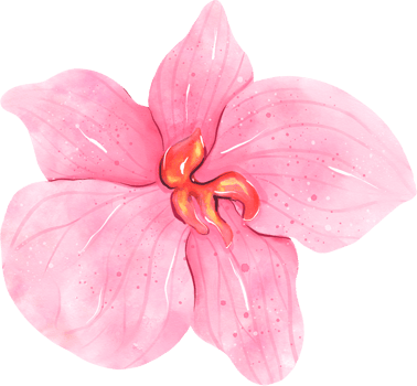 Pink Orchid Flower Watercolor png