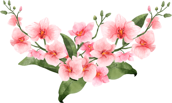 Pink Orchid Flower Bouquet Watercolor png