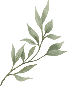 Greenery Leaf Watercolor png