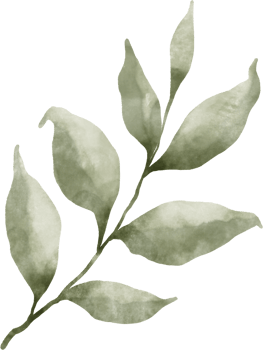 Greenery Leaf Watercolor png