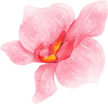 Pink Orchid Flower Watercolor png
