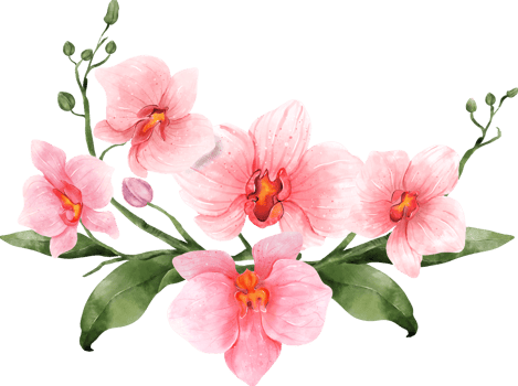 Pink Orchid Flower Bouquet Watercolor png