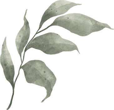 Greenery Leaf Watercolor png