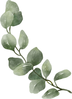 Eucalyptus Watercolor Leaves Illustration png