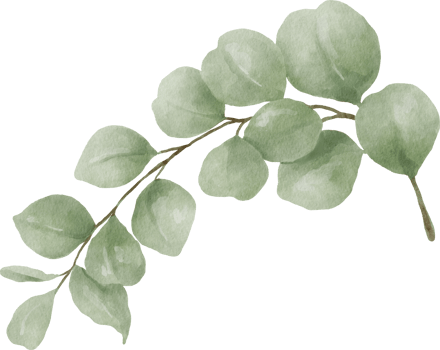 Eucalyptus Watercolor Leaves Illustration png