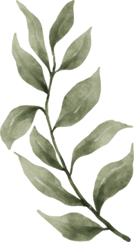 Greenery Leaf Watercolor png