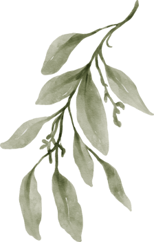 Greenery Leaf Watercolor png