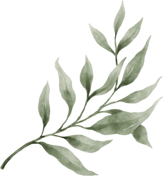 Greenery Leaf Watercolor png