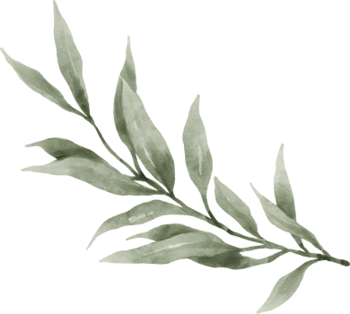 Greenery Leaf Watercolor png
