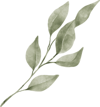 Greenery Leaf Watercolor png