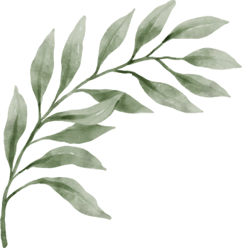 Greenery Leaf Watercolor png