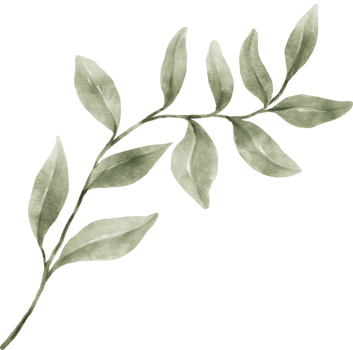 Greenery Leaf Watercolor png