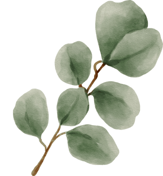 Eucalyptus Watercolor Leaves Illustration png