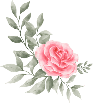 Pink Rose Flower Bouquet Arrangement Watercolor png