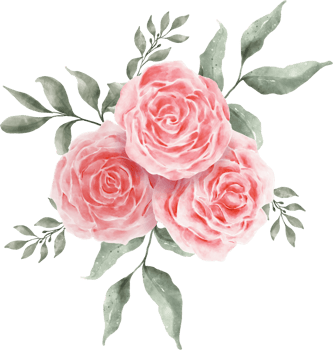 Pink Rose Flower Bouquet Arrangement Watercolor png