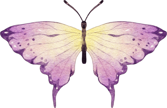 Butterfly Watercolor Illustration png